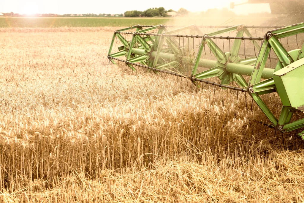 combine-harvester-working-wheat-field